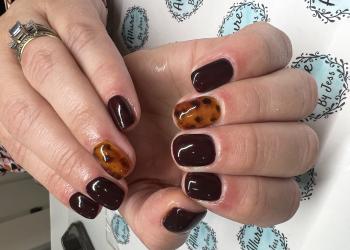 Tortoise Shell gel overlays