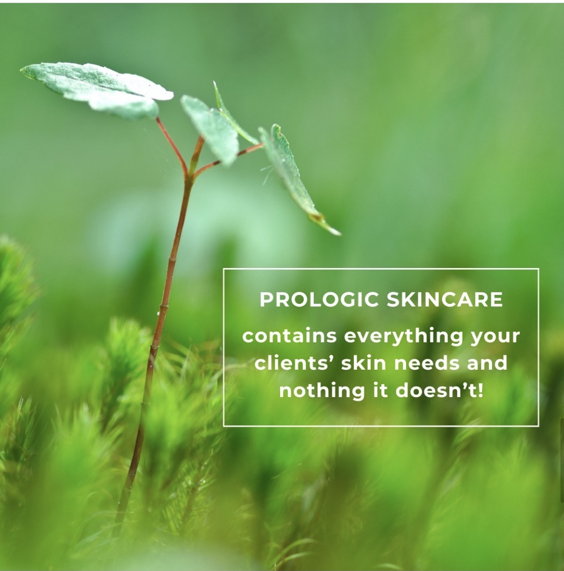 Prologic Dkincare 