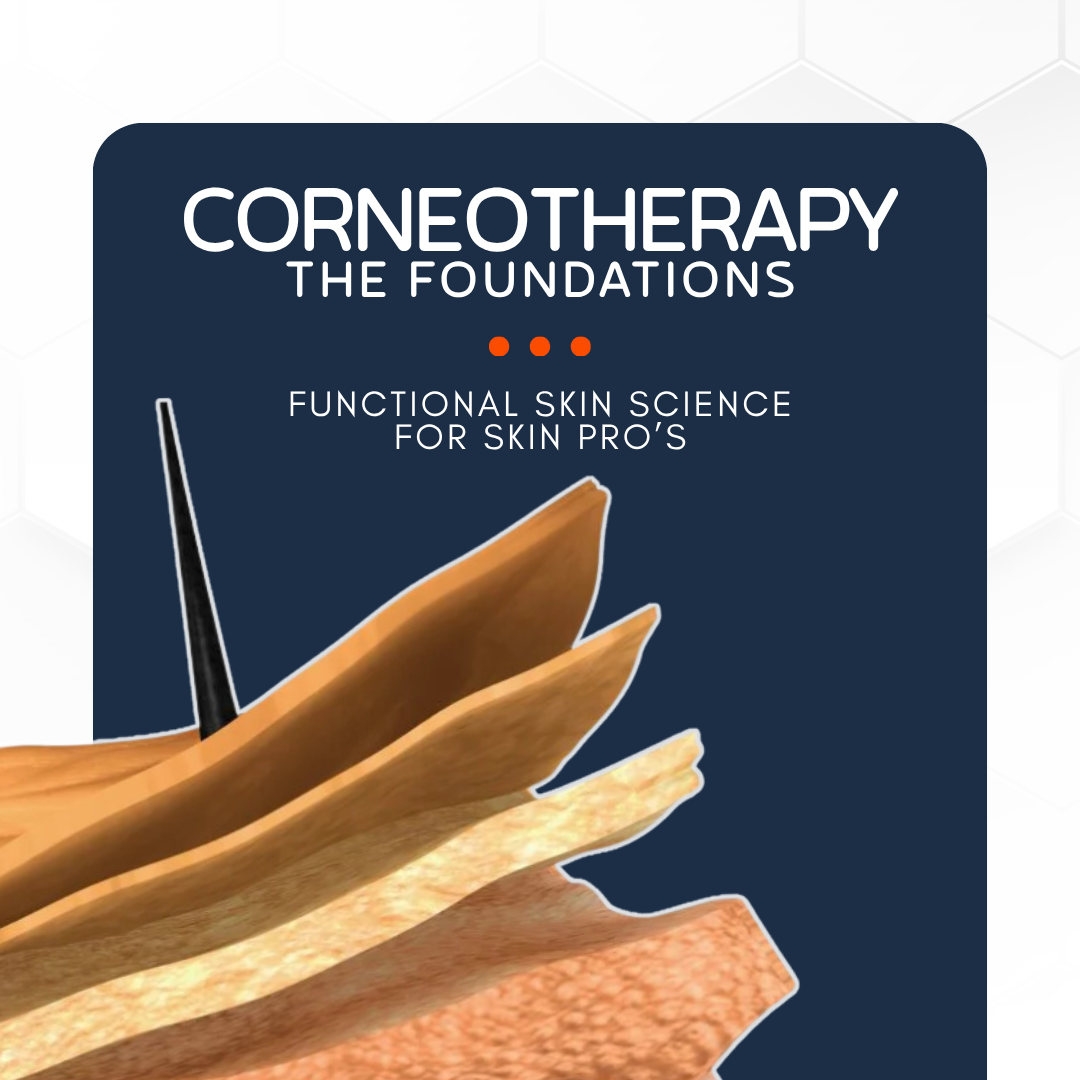 Corneotherapy: The Foundations. Functional Skin Science for Skin Pro's