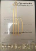 Kirsten Steward, certificate 6 of 7
