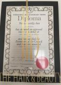Kirsten Steward, certificate 1 of 7