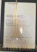 Kirsten Steward, certificate 2 of 7