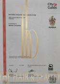 Beena, certificate 1 of 1